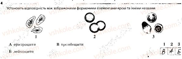 фото задание 4 - внутрішнє середовище організму - тема 4. транспорт речовин