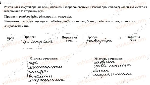 фото задание 5 - будова і функціонування видільної системи. сечовидільна система - тема 5. виділення. терморегуляція