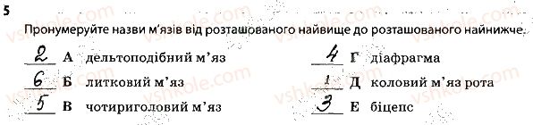 фото задание 5 - опорно-рухова система. м'язи - тема 6. опора й рух