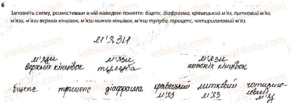 фото задание 6 - опорно-рухова система. м'язи - тема 6. опора й рух