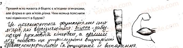 фото задание 7 - опорно-рухова система. м'язи - тема 6. опора й рух