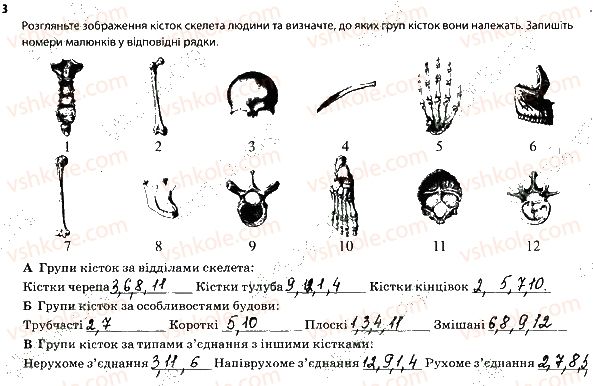 фото задание 3 - опорно-рухова система. скелет - тема 6. опора й рух