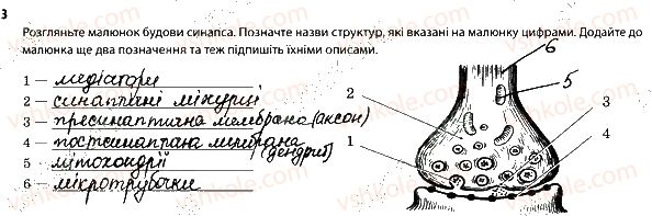 фото задание 3 - нейрони. нервова система - тема 7. зв'язок організму людини із зовнішнім середовищем. нервова система
