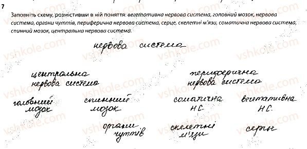 фото задание 7 - нейрони. нервова система - тема 7. зв'язок організму людини із зовнішнім середовищем. нервова система