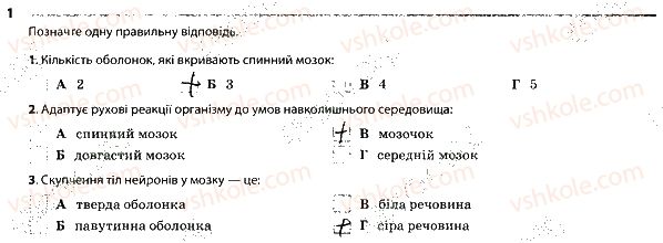 фото задание 1 - центральна нервова система - тема 7. зв'язок організму людини із зовнішнім середовищем. нервова система