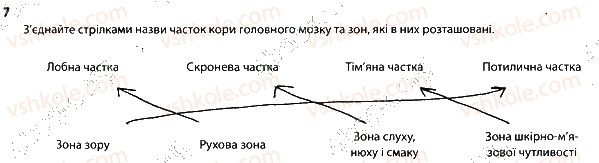 фото задание 7 - центральна нервова система - тема 7. зв'язок організму людини із зовнішнім середовищем. нервова система