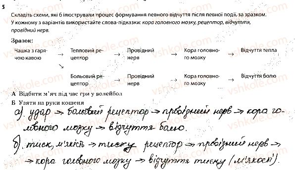 фото задание 5 - інші сенсорні системи організму людини - тема 8. зв'язок організму людини із зовнішнім середовищем. сенсорні системи