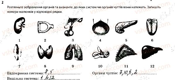 фото задание 2 - узагальнення знань за ii семестр
