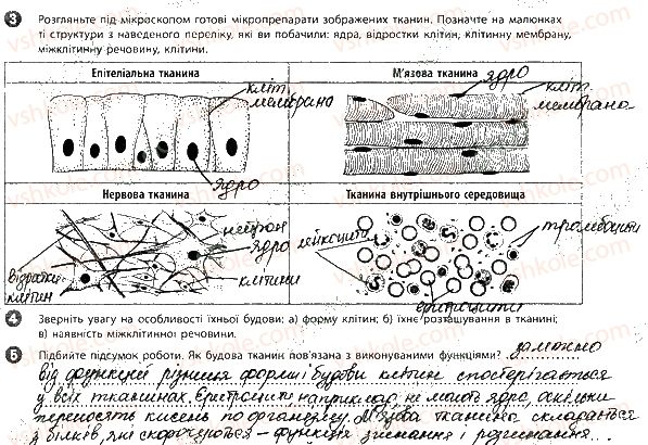 фото задание 1 - лабораторні дослідження - зошит для лабораторних робіт