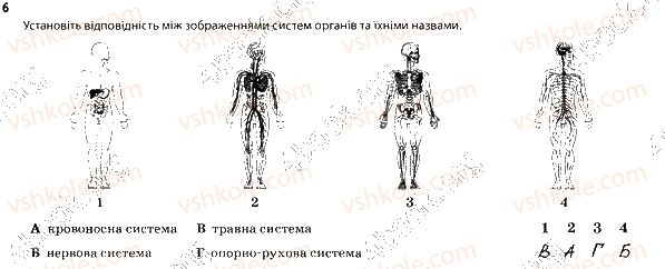 фото задание 6 - 1. клітини, тканини та органи - тема 1. вступ. організм людини