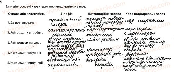 фото задание 5 - 1. ендокринна система. захворювання ендокринної системи - тема 11. ендокринна система