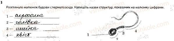 фото задание 3 - 1. репродуктивна система - тема 12. розмноження та розвиток людини