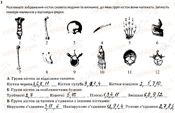 фото задание 3 - 1. опорно-рухова система. скелет - тема 2. опора й рух