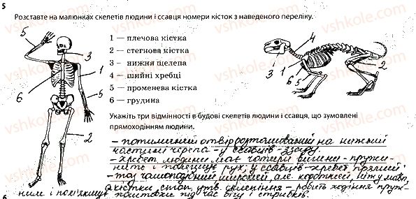 фото задание 5 - 1. опорно-рухова система. скелет - тема 2. опора й рух
