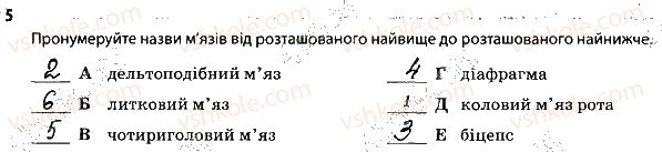 фото задание 5 - 2. опорно-рухова система. м'язи - тема 2. опора й рух