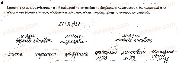 фото задание 6 - 2. опорно-рухова система. м'язи - тема 2. опора й рух