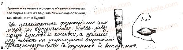 фото задание 7 - 2. опорно-рухова система. м'язи - тема 2. опора й рух