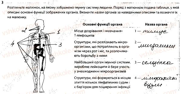 фото задание 3 - 2. імунна система. імунітет - тема 6. транспорт речовин
