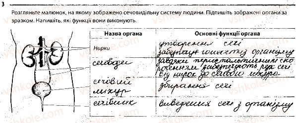 фото задание 3 - 1. будова і функціонування видільної системи. сечовидільна система - тема 7. виділення. терморегуляція