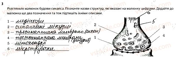 фото задание 3 - 1. нейрони. нервова система - тема 8. зв'язок організму людини із зовнішнім середовищем. нервова система