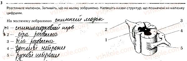 фото задание 3 - 2. центральна нервова система - тема 8. зв'язок організму людини із зовнішнім середовищем. нервова система