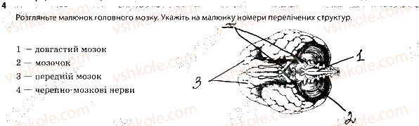 фото задание 4 - 2. центральна нервова система - тема 8. зв'язок організму людини із зовнішнім середовищем. нервова система