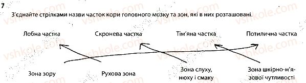 фото задание 7 - 2. центральна нервова система - тема 8. зв'язок організму людини із зовнішнім середовищем. нервова система