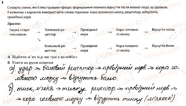 фото задание 5 - 3. інші сенсорні системи організму людини - тема 9. зв'язок організму людини із зовнішнім середовищем. сенсорні системи