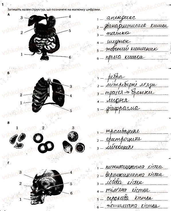 фото задание 1 - узагальнення знань за i семестр