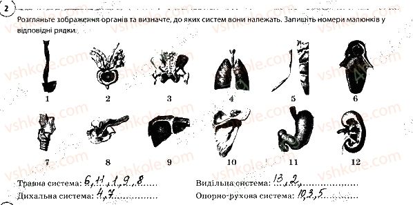 фото задание 2 - узагальнення знань за i семестр
