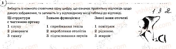 фото задание 3 - узагальнення знань за ii семестр
