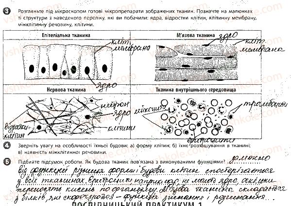 фото задание 1 - вкладиш. зошит для лабораторних робіт