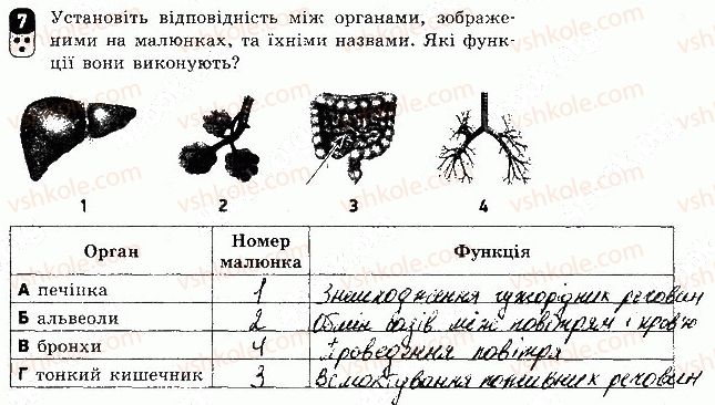 фото задание 7 - варіант 2 - контрольна робота 1 - контрольні роботи