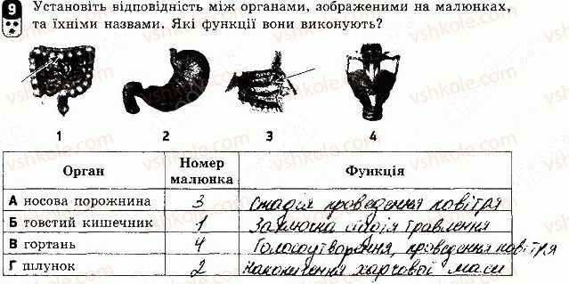 фото задание 9 - варіант 2 - контрольна робота 1 - контрольні роботи