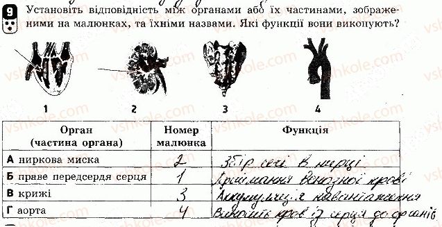 фото задание 9 - варіант 2 - контрольна робота 2 - контрольні роботи