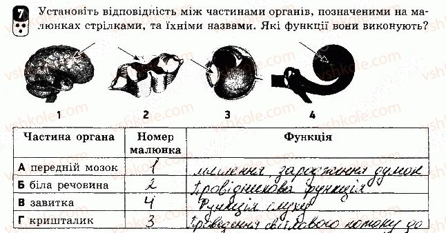 фото задание 7 - варіант 1 - контрольна робота 3 - контрольні роботи
