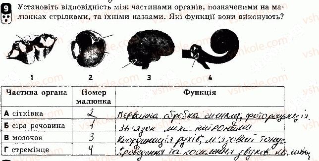 фото задание 9 - варіант 1 - контрольна робота 3 - контрольні роботи
