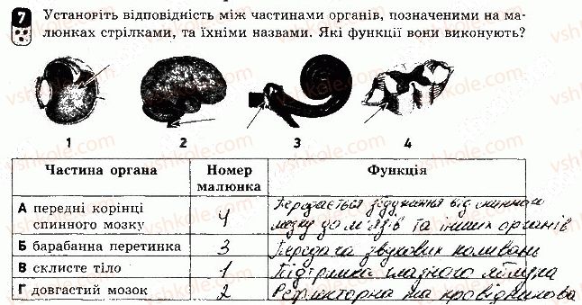 фото задание 7 - варіант 2 - контрольна робота 3 - контрольні роботи