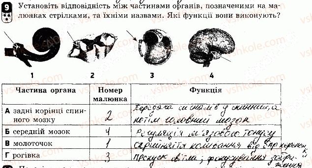 фото задание 9 - варіант 2 - контрольна робота 3 - контрольні роботи