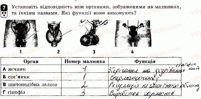 фото задание 7 - варіант 1 - контрольна робота 4 - контрольні роботи