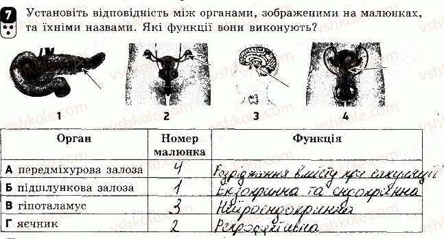 фото задание 7 - варіант 2 - контрольна робота 4 - контрольні роботи