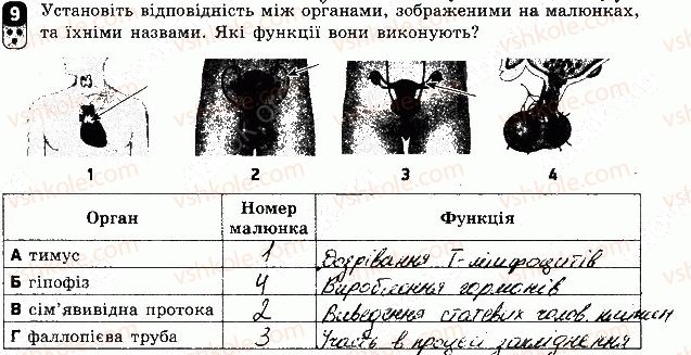 фото задание 9 - варіант 2 - контрольна робота 4 - контрольні роботи
