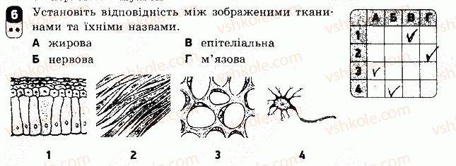 фото задание 6 - варіант 1 - самостійна робота 1 - самостійні роботи