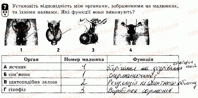 фото задание 7 - варіант 2 - самостійна робота 15 - самостійні роботи