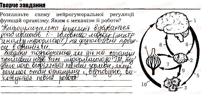 фото задание ст122тв.завд - тема 10. регуляція функцій організму