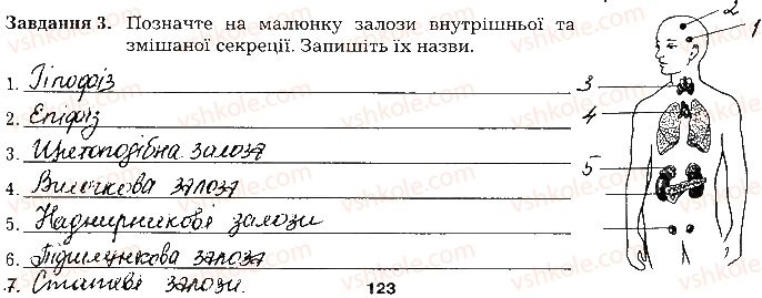 фото задание ст123завд3 - тема 10. регуляція функцій організму