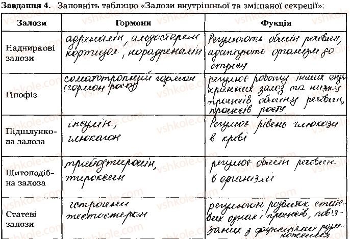 фото задание ст124завд4 - тема 10. регуляція функцій організму