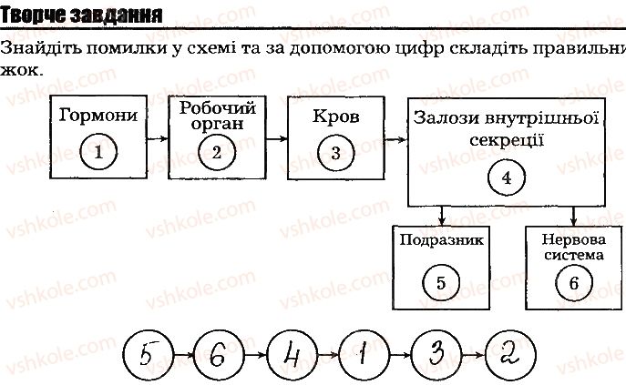 фото задание ст124тв.завд - тема 10. регуляція функцій організму