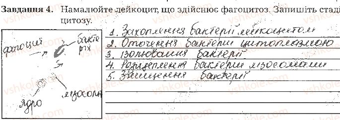 фото задание ст127завд4 - тема 10. регуляція функцій організму
