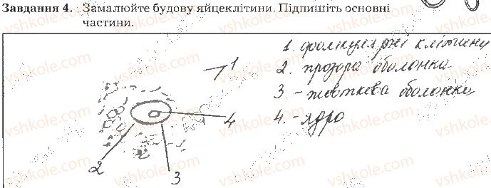 фото задание ст131завд4 - тема 11. розмноження та розвиток людини